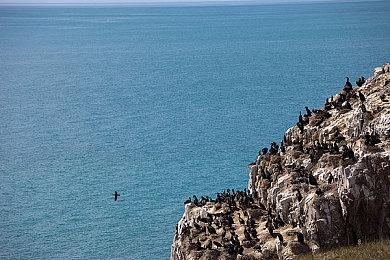 《FIFA23》终极版Steam国区售价涨回418元 反复横跳？